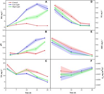 Decreased Internal Phosphorus Loading From Eutrophic Sediment After Artificial Light Supplement: Preliminary Evidence From a Microcosm Experiment